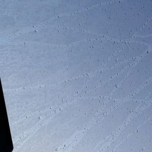 Meet your Posher, Beebo